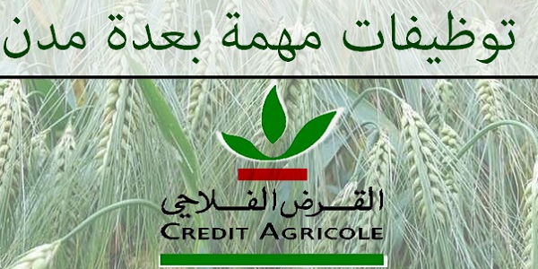 Credit-du-Maroc-Recrutement-Emploi