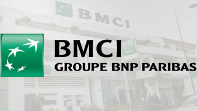 Group-Bmci